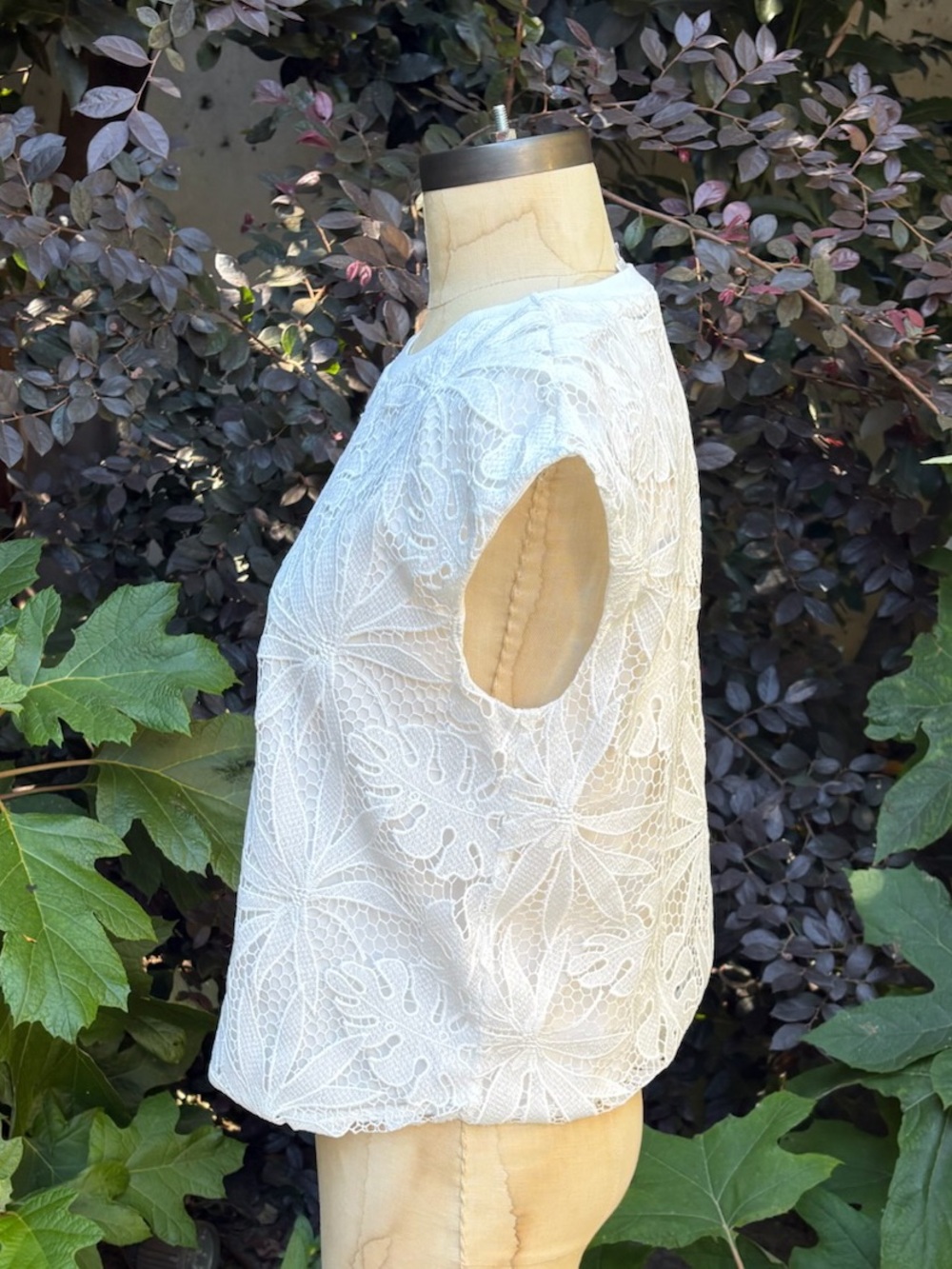 Corey Lynn Calter/Anthropologie "Tina Lace" blouse - size XS Petite - Picture 3 of 4
